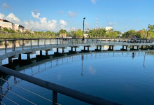 Thian Thale Phatthana Phrueksa Phirom Park景点图片