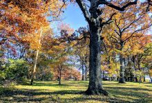 Chautauqua Park景点图片