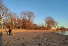 Bürgerpark Wedel景点图片