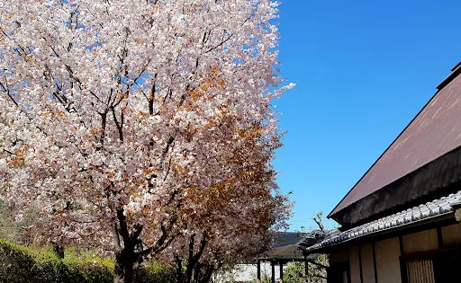 其中庵