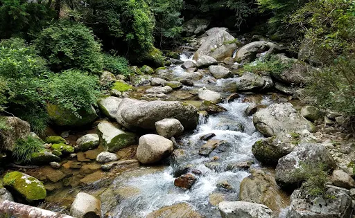 滑床養魚場