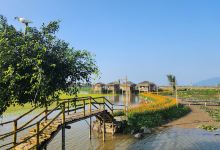 THÔN TRANG LIÊN NHẬT景点图片