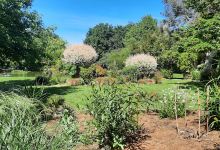 Jardins Du Littoral购物图片