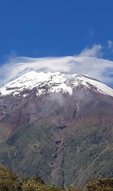 La Casa del Arbol-巴尼奥斯县