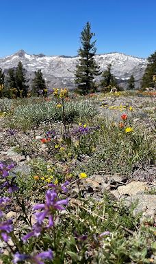 Mt. Tallac Trail-埃尔多拉多县