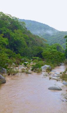Mirador los arcos de mismaloya-巴亚尔塔港