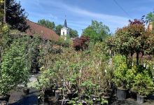 Izabela Plechová - Garden Centrum Isabell购物图片
