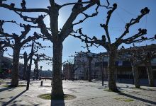 Campo da Feira景点图片