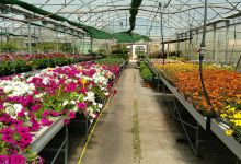 Viveros Izquierdo, Centro de Jardineria购物图片