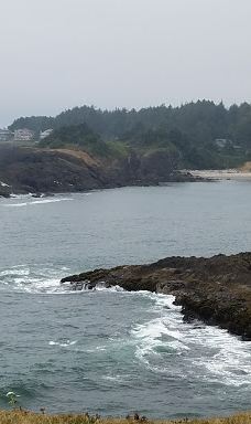 Siletz Bay National Wildlife Refuge-林肯县