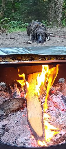 Mikisew Provincial Park-Machar