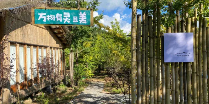 銀杏樹下房車營地