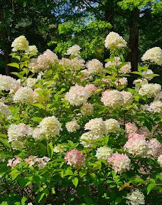 Geografisk Have-科灵