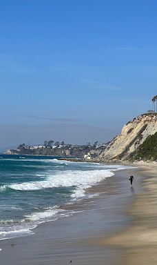 Salt Creek Beach-达纳点