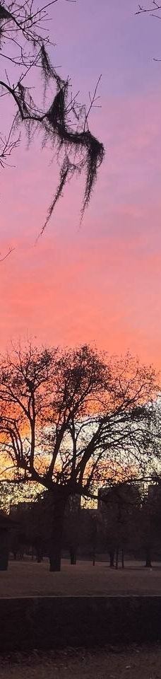 赫曼公园-休斯敦