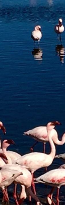 长滩休闲公园-Langstrand