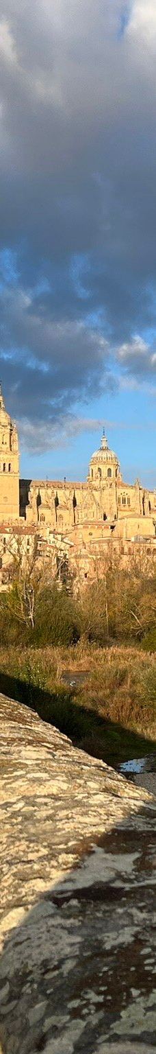 罗马古桥-萨拉曼卡