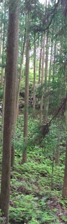 Kumano Kodo Kan Pilgrimage Center-田边市