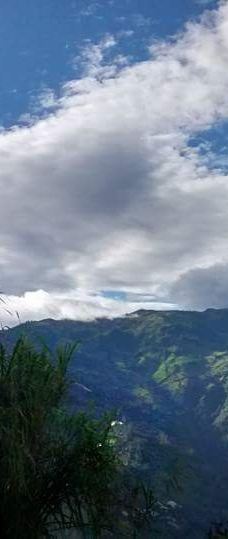 La Casa del Arbol-巴尼奥斯县