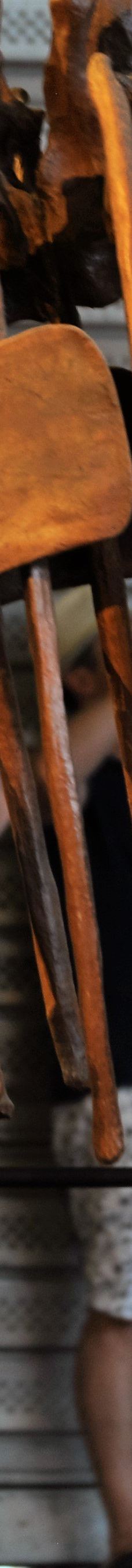 Musee des Dinosaures 'Dinosauria'-埃斯佩拉扎