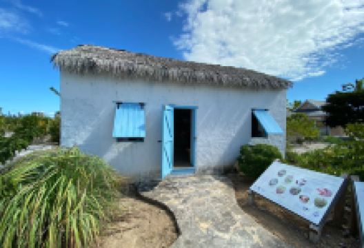 Turks And Caicos National Museum景点图片