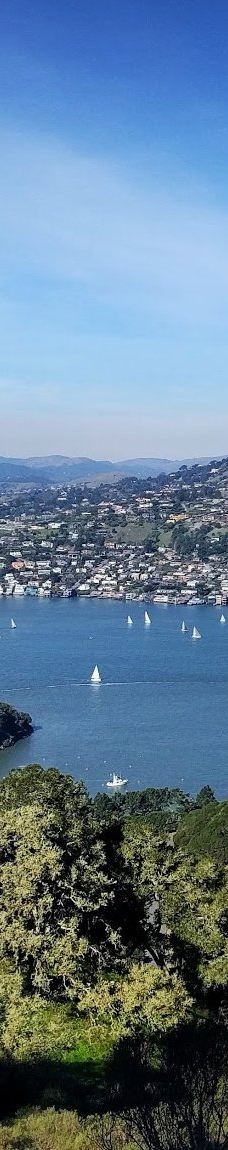 安琪儿岛-蒂伯龙