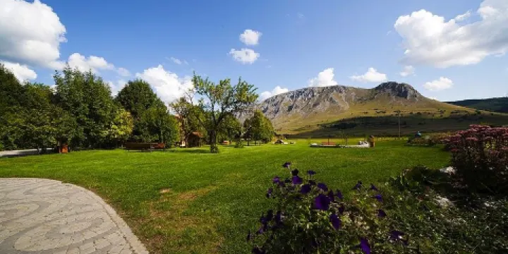 Coltesti Castle Ruins