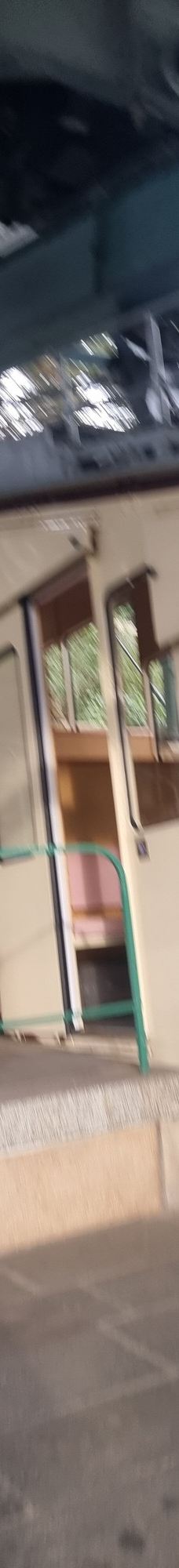 Dresden Suspension Railway-德累斯顿