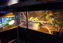 Vivarium Elapsoidea景点图片