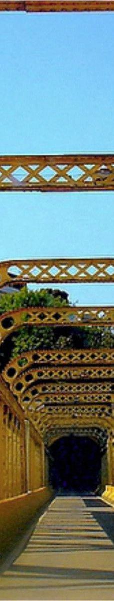 Ponte de Ferro Governador Bley-伊塔佩米林河畔卡舒埃鲁