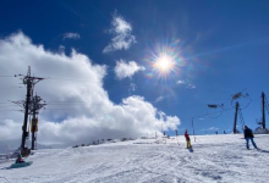 ProX-treme Electric Bikes购物图片