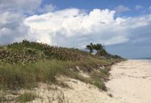 Treasure Shores Beach Park景点图片