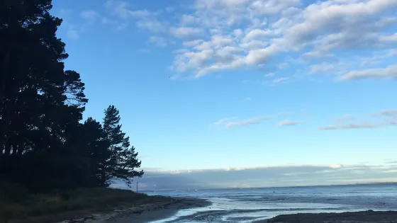 Pines Beach