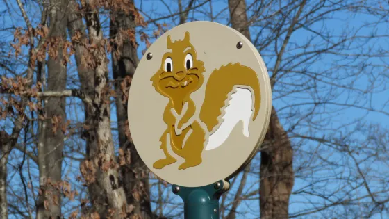 Squirrel Lake Park