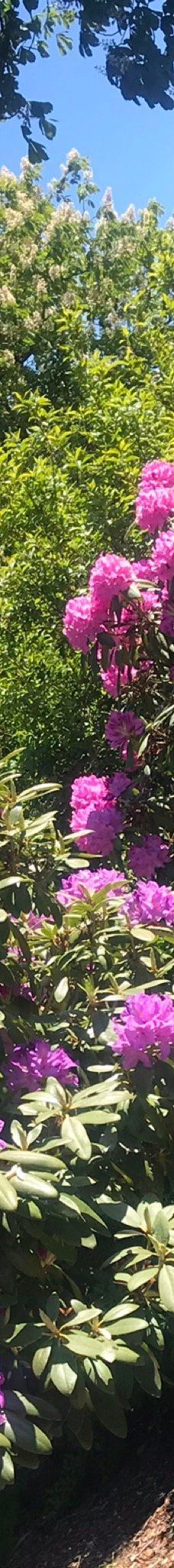 Kræmmerhuset kunsthåndværk-伦讷