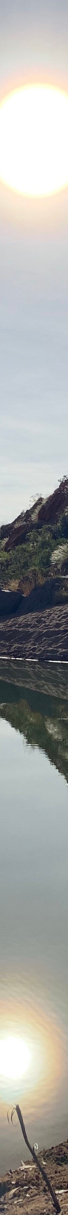 Caroline Pool-奥德里弗