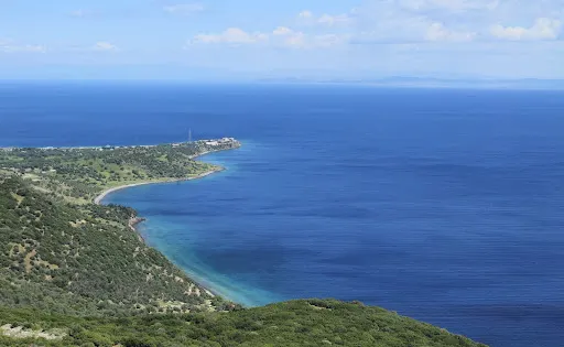 Zeus Altarı
