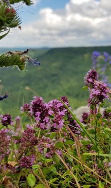 Hangender Stein-佐勒纳尔布县