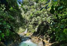 Los Campesinos Ecolodge景点图片