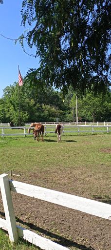 Rouge Park-底特律