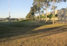 Jack Edwards Reserve Dog Off Leash Area景点图片