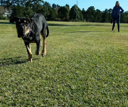 Wallsend Dog Off-Leash Area