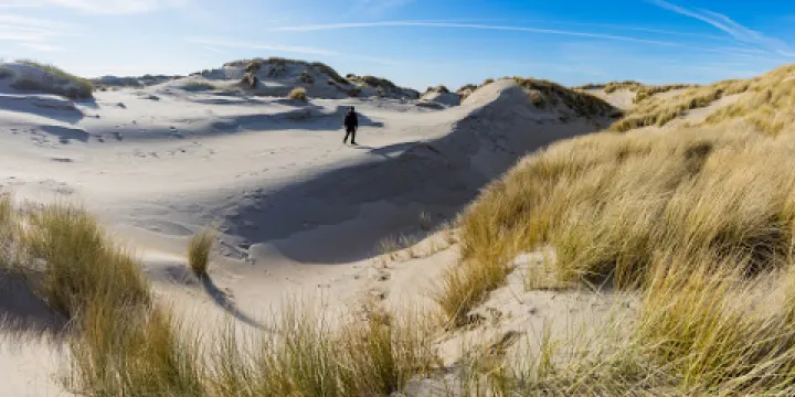 特塞爾沙丘國家公園