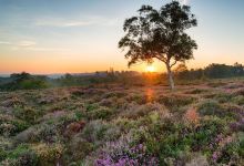 Hilton Arts Pahalgam Main Market Kashmir购物图片