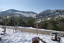 Özel Toros İlkokulu Hatıra Ormanı景点图片