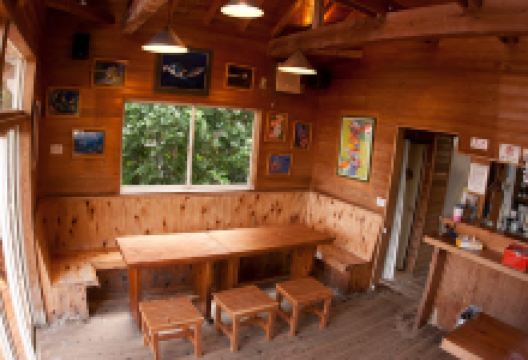 Regulus Diving购物图片