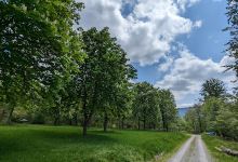 Wanderweg Alte Eichen-Freibad Reichental景点图片