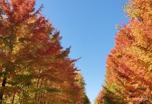 Pere Marquette Rail Trail景点图片