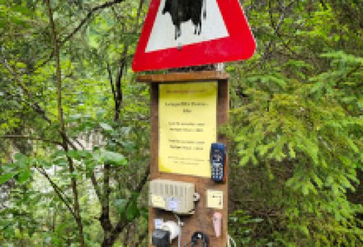 Lustige Ladestation景点图片