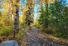 Matanuska River Park景点图片